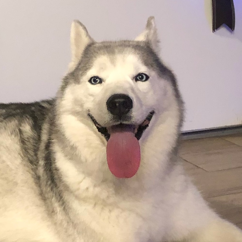 Meet your Posher, Nick